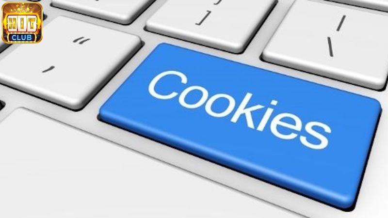 Lưu ý quan trọng của chính sách bảo mật Hitclub